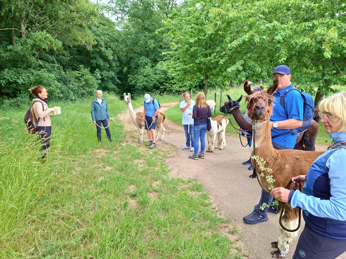 Kräuterwanderung