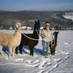 Lamawanderung Glühweintour