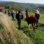 Lamawanderung -Weck-Worscht-Woi