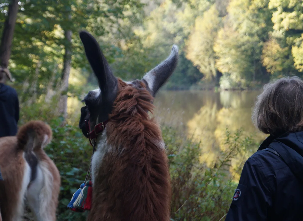 Achtsamkeit – Wanderung – Raus aus dem Alltag