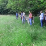 Lamatrekking-Wildkräuterwanderung