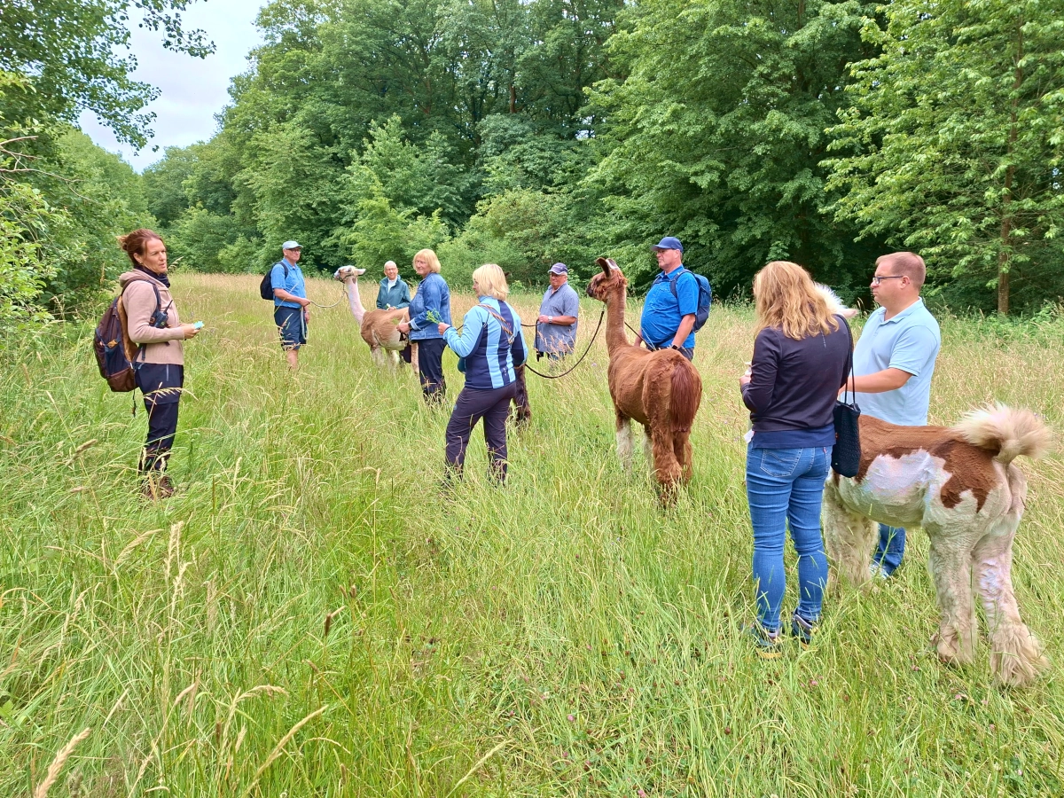 Lamatrekking-Wildkräuterwanderung mit Kräuterpicknick